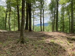 Virgin Falls 35 acre tract