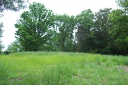 Robinson Ridge Road Tract