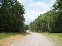 Fall Creek Falls 280 acres